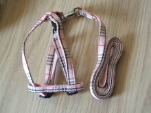 Looplijn met Tuig Set Burberry Roze