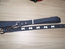 Looplijn met halsband blauw met strikjes