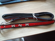 Looplijn met halsband set rood met botjes