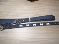 Looplijn-met-halsband-blauw-met-strikjes